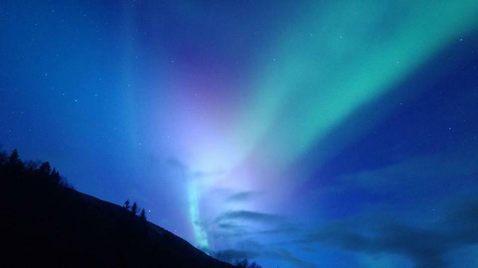 Ballangen Camping Narvik Luaran gambar