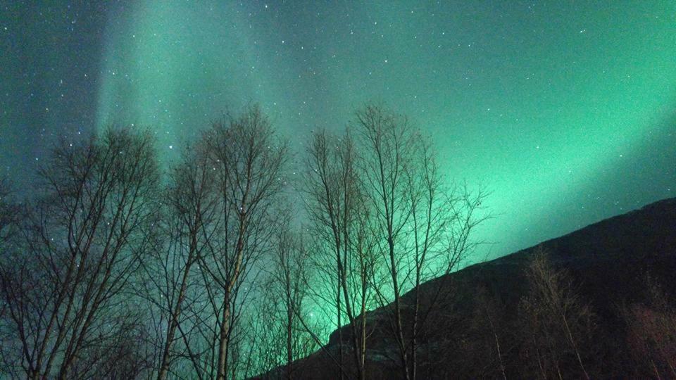 Ballangen Camping Narvik Luaran gambar